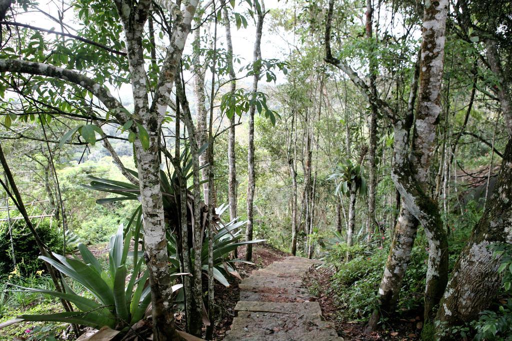 Aroso Paco Hotel Pedra Azul  Bagian luar foto A trail in the park